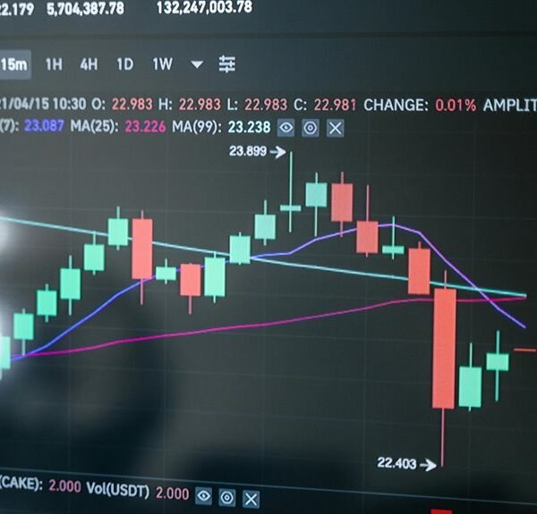 elevate your online marketing