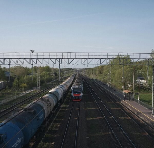 online growth development platform